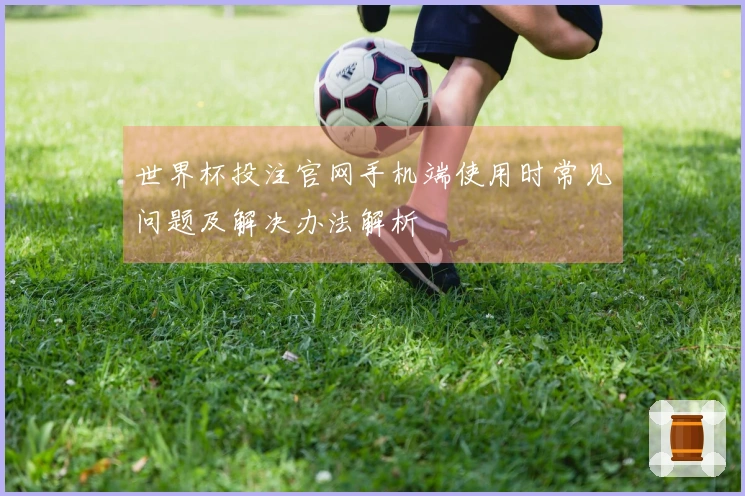 世界杯投注官网手机端使用时常见问题及解决办法解析