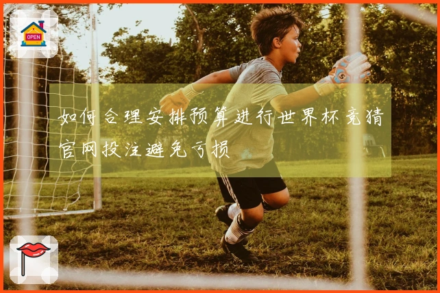 如何合理安排预算进行世界杯竞猜官网投注避免亏损